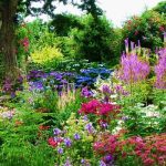 ... stylish cottage garden cottage garden ideas uk ... QEFRIAD