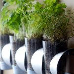 15 indoor herb garden ideas - kitchen herb planters DWBSSGT