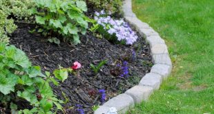 17 simple and cheap garden edging ideas for your garden (11) HORFPNQ