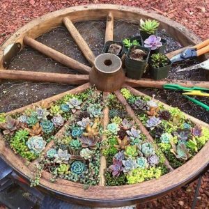 25+ best garden ideas on pinterest | gardening, gardens and backyard garden  ideas DPNYHUS