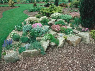 a natural-looking rock garden is a great way to spotlight understated  flowers and plants BRLFXPH