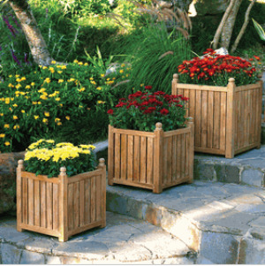 colour co-ordinate window flower boxes/garden pots and planters CHGZFVY