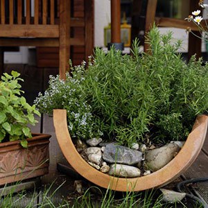 container gardening container inspiration gallery APXCNPJ