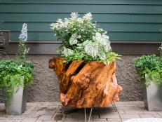 container gardening how to make a planter out of a recycled tree stump 18 photos KKZXXFS