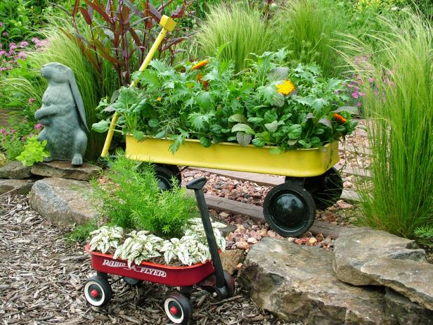 container gardening ideas, pictures u0026 videos | hgtv UTVZWNZ