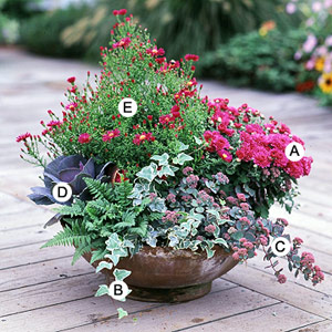 container gardening recipes for beautiful container gardens NIKPWQE
