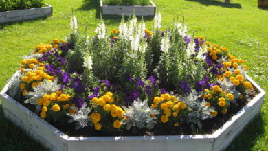 flower bed ideas annual flower bed designs with wooden board OMYHDDA
