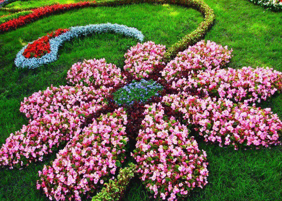 flower bed ideas flower shaped floral garden layout LVSRYWE