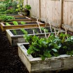 for the experienced gardener or the novice, raised garden beds take the  hassle out of horticulture. FKKWDYQ