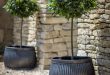 garden pots planters u0026 pots | galvanized metal containers with standardized shrubs RHCWNYZ