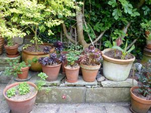 garden pots pots and planters the enduring gardener JDAEZPC