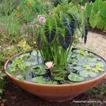 gardening ideas incridible excellent new garden ideas and creative gallery from CTQYSPT
