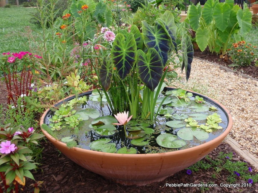 gardening ideas incridible excellent new garden ideas and creative gallery from CTQYSPT
