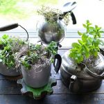 herb garden kettle style | fun and easy indoor herb garden ideas SMHHPLR