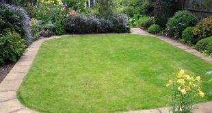 ideas for lawn edging | hgtv WJFTNSO