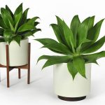 indoor plant pots designs and styles to pick | tips and inspiration home  ideas TGHOIVP