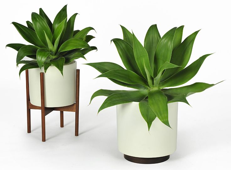 indoor plant pots designs and styles to pick | tips and inspiration home  ideas TGHOIVP