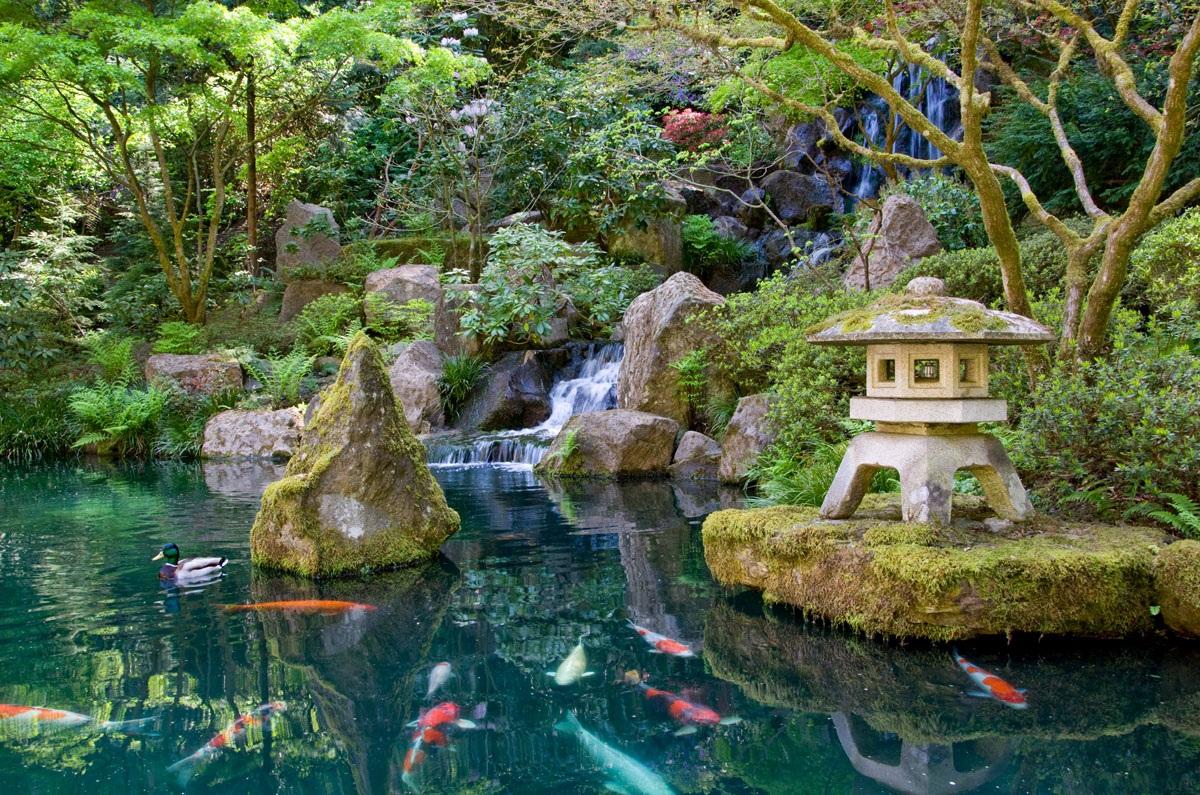 japanese garden 15 dreamy japanese gardens to fully inspire you - onedio.co KAJVZNH