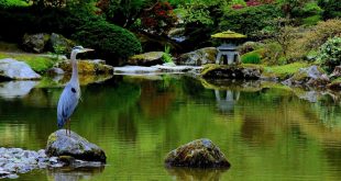 japanese garden herongardenpartyoriginal.jpg CRKBLYT