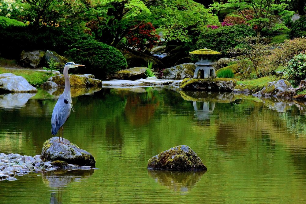 Heaven On Earth Japanese Gardens