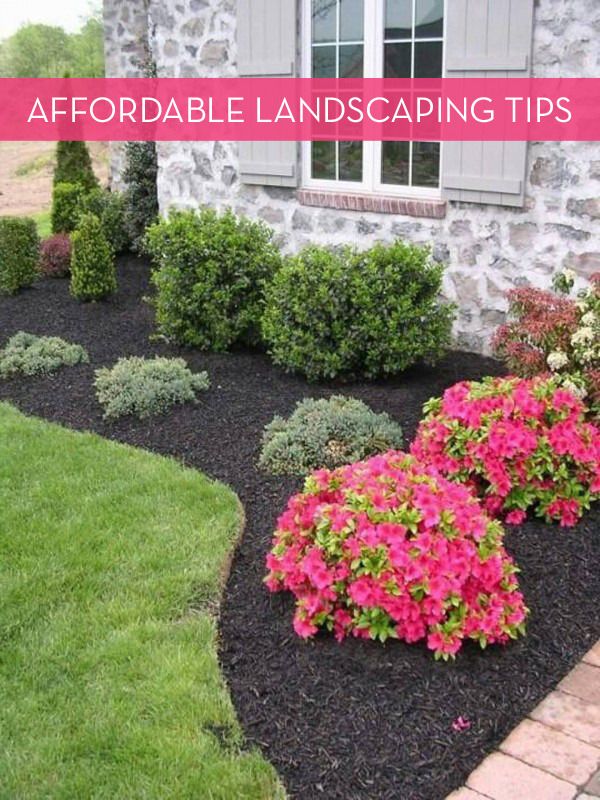 landscaping ideas 13 tips for landscaping on a budget SLUTYHD