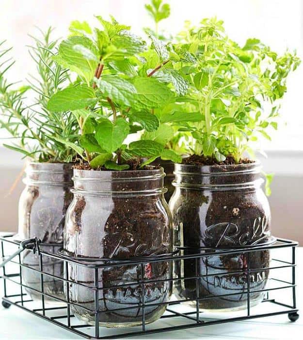 mason jar diy herb garden | fun and easy indoor herb garden ideas IWYFLXR