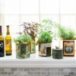 our 5 favorite indoor herb garden ideas BUVEFUW