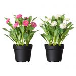 plant pots fejka artificial potted plant, common daisy assorted colors height: 10 ¼  UBEWEZE