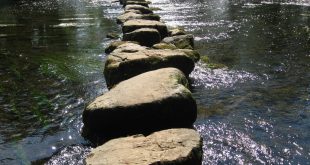 stepping stones stepping-stones WOCKBDP