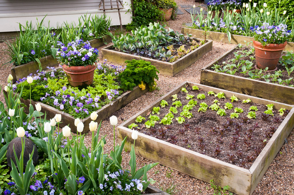 take your raised bed garden up a notch - bonnie plants SPQXNQG