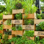 top 10 cool vertical gardening ideas MIWQPUQ