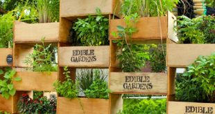 top 10 cool vertical gardening ideas MIWQPUQ