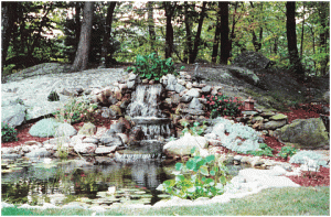 water gardens u0026 fish ponds - norwalk, ct | loglisci water gardens JEJOAGB