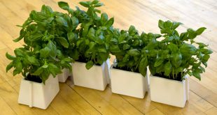 x tray is a set of five plant pots that slot together in any configuration  you GQKQACQ
