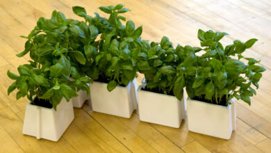 x tray is a set of five plant pots that slot together in any configuration  you GQKQACQ