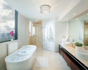 bathroom ceiling lights contemporary bathroom idea in miami with a freestanding tub and a vessel KZHMTME
