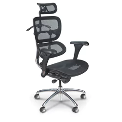 ergonomic chair ergonomic chairs - shop the best brands - overstock.com AAXBKMV
