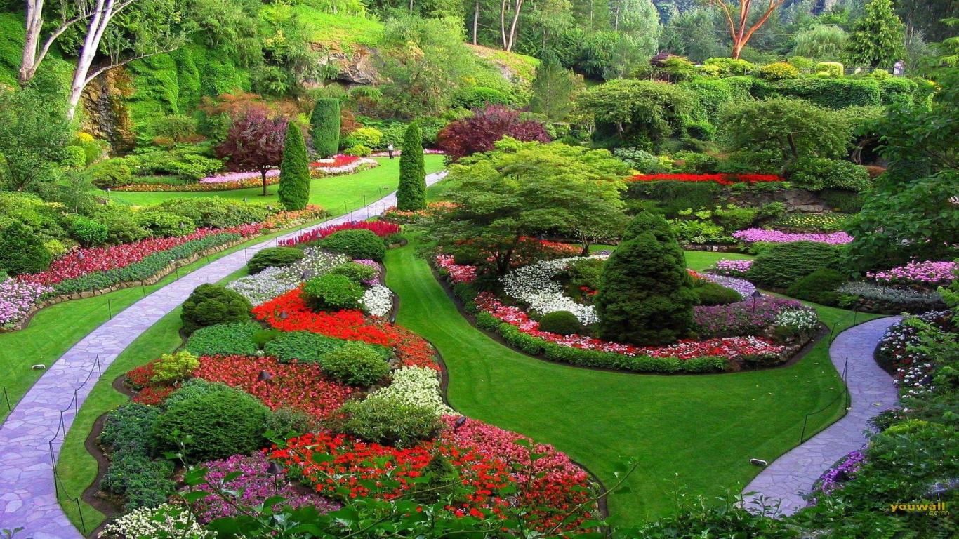 All you need to know on landscape design