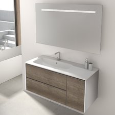 vanity units mosman 100cm wall mounted vanity unit with mirror and storage cabinet EPXIEDN