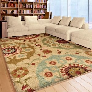 8x10 area rugs image is loading rugs-area-rugs-8x10-area-rug-carpets-living- SMDBAXR