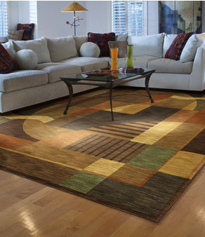 area carpet area rugs | shag area rug | floral area rug | concord ca BGZDXDD