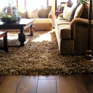 area carpet style spotlight: unique carpets shag rug NBJGFNL