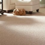 best carpets best type of carpet for bedroom photo - 3 TURUOME
