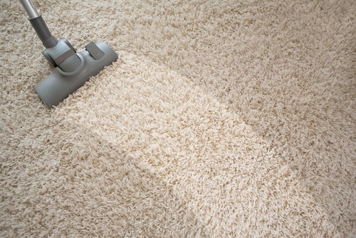 carpet floor carpet DENFSFU