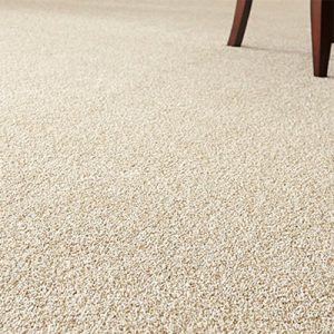 carpet floor texture PNBEYZQ