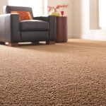 carpet for home cut and loop carpet UJWYLUU