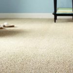 carpet for home how to choose carpet for your home IKJIKMG