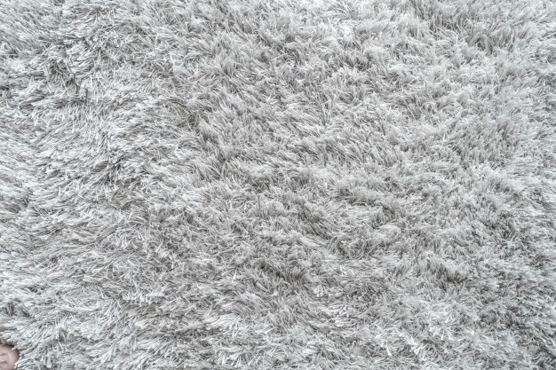 carpet texture grey carpet for background NEOFPLZ