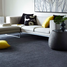 carpets and flooring online discount carpets LINIONB