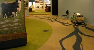 Custom designed carpets custom designed carpet manufacturers CDAIAQT